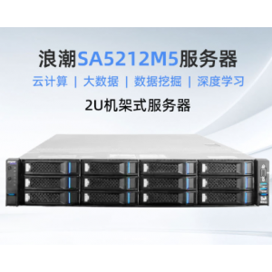 浪潮inspur英信服务器SA5212M5机架式2U存储式主机国产信创准系统